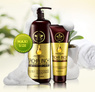 Daeng Gi Meo Ri Sacha Inchi Therapy Shampoo Восстанавливающий шампунь золотая терапия 